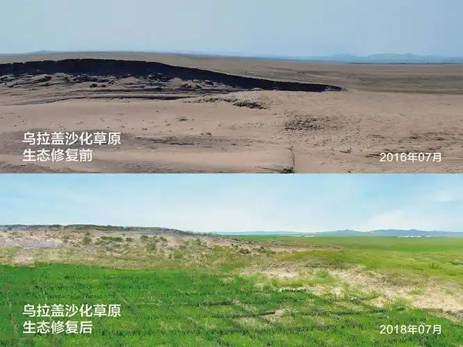 今昔对比,看北疆大地"绿进沙退"!