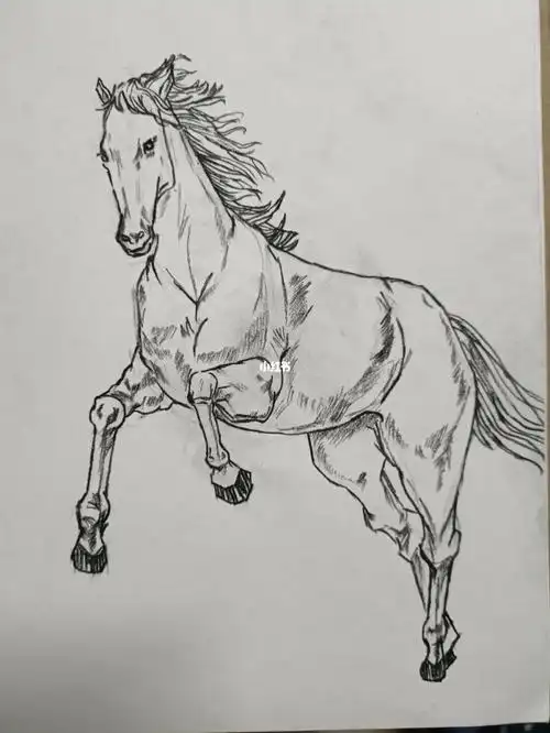 素描  #速写  #零基础素描