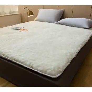 羊毛床垫 软垫加厚保暖冬季羊羔绒铺垫床褥子家用垫褥垫被 dz白色加厚