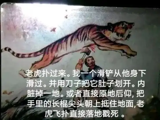 老虎 滑铲老虎 - 抖音