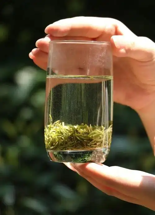 今天就要和大家分享一下,在家里如何用简单的玻璃杯泡好一杯茶.