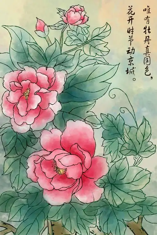 中国风花朵绘画psd素材