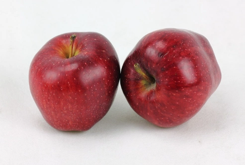 蛇果什么时候成熟上市 蛇果是什么季节的水果