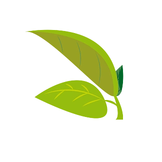 【简约叶子叶子】图片免费下载_简约叶子叶子素材_简约叶子叶子模板