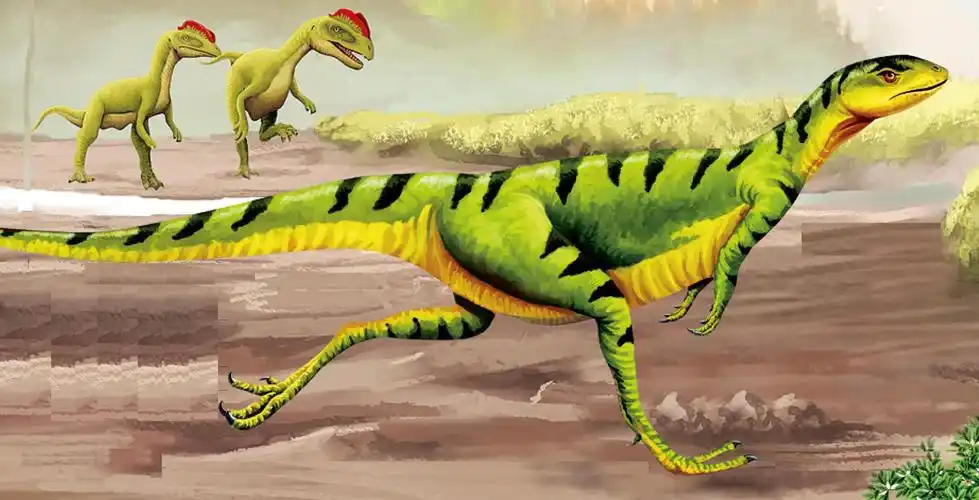 快跑能手莱索托龙