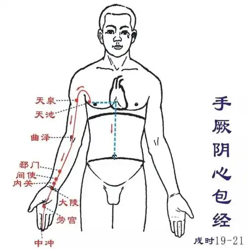 手厥阴心包经,这条经脉起于胸中,联络于心,终止在我们手部中指的末端
