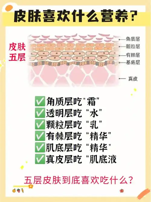 皮肤喜欢吃什么71懂皮肤才正确爱护肤