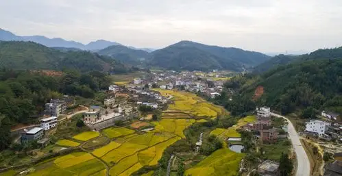 河源市龙川县委书记黄添胜接受南方日报记者专访千年古城争当融湾生态
