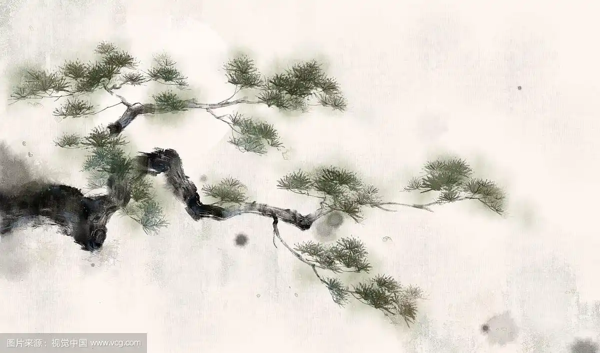 松树—中国风古风水墨水彩插画插图
