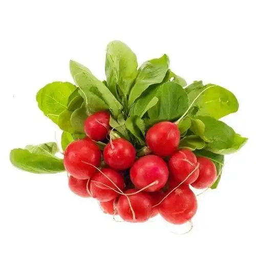 樱桃小萝卜5斤红小水萝卜新鲜蔬菜菌菇产发