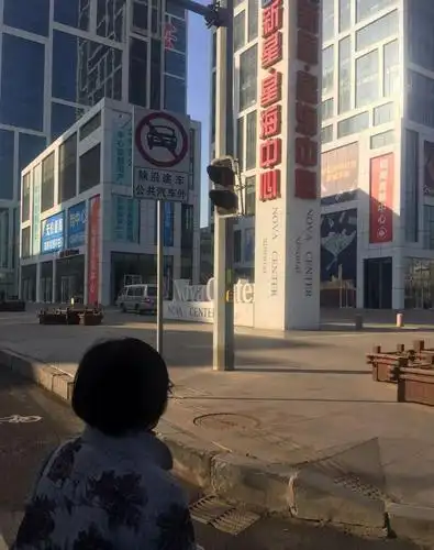 大连:太原街斑马线信号灯被挡住 安全存在大隐患