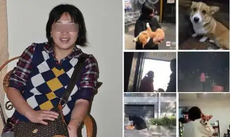 第二弹——成都何某丽摔狗门事件罗某丽,女,小学语文高级教师.