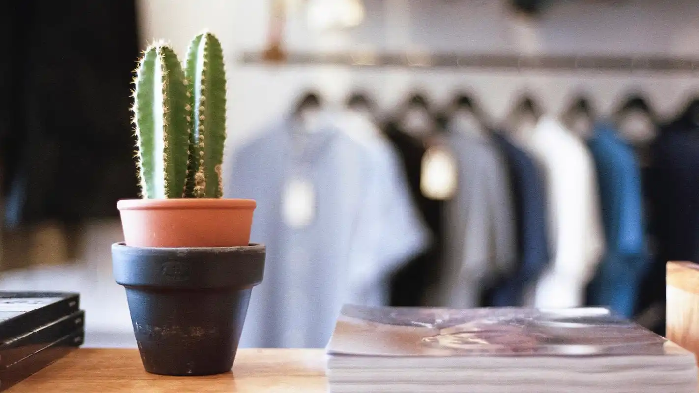 唯美室内盆栽静物摄影高清宽屏桌面壁纸