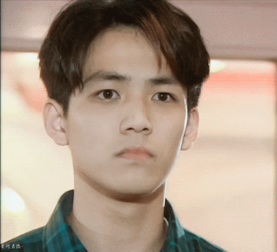 钟汉良年轻时,娱乐圈小奶狗,姐弟恋型男主 ,,,,,,,,,,,,, 古言