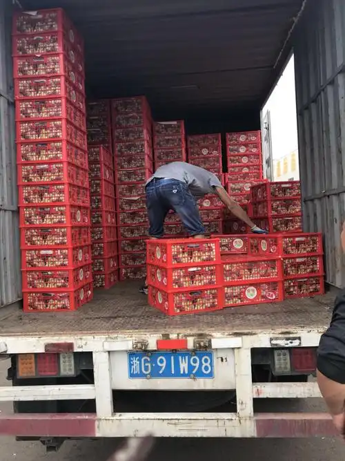 金华市场水果行情通报