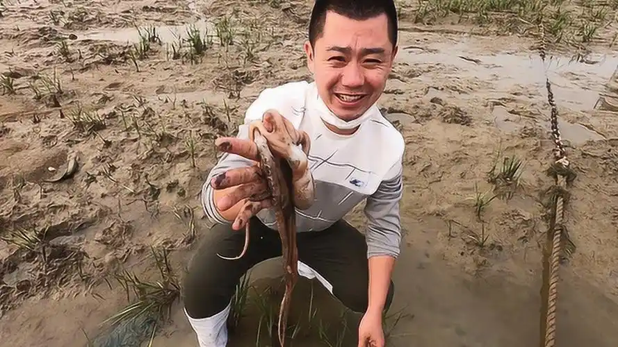 小斗赶海回来后五种海鲜一起下锅,味道就是不一样,这面真香!