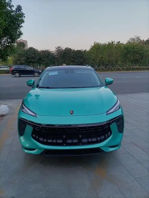 风行t5 evo风行的车标是金色还是白色的,怎么有金色的