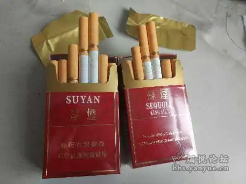 念念不忘————苏烟红杉树大贡与出口版苏烟大贡!