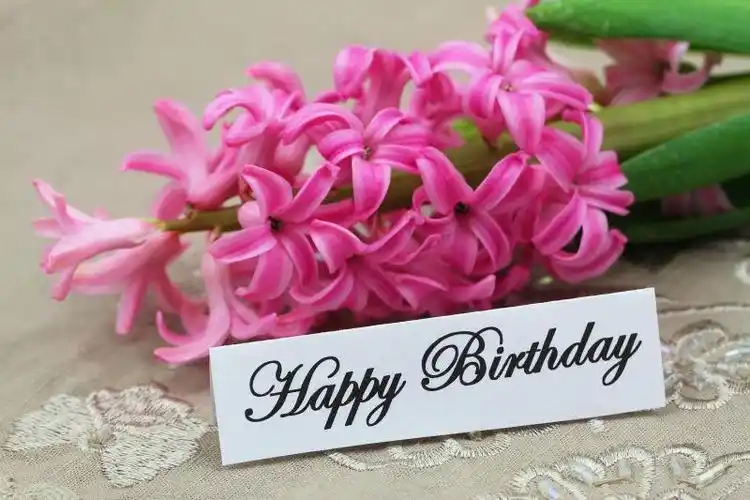 系列 一 生日快乐与花束(11张图片)查看全部 >