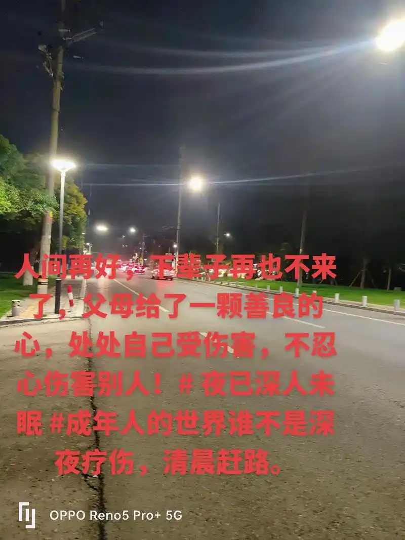 人间再好,下辈子再也不来了,父母给了一颗善良的心,处处自己受 - 抖音