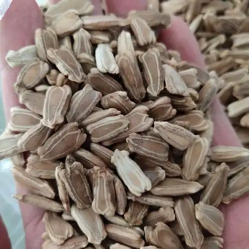 葫芦籽 中药材苦葫芦籽 中草药 苦葫芦籽 葫芦子