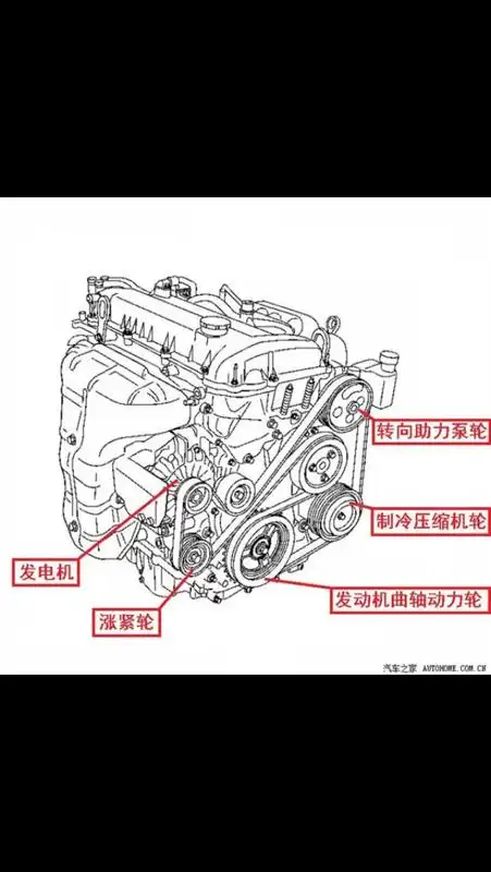 发电机皮带怎么挂