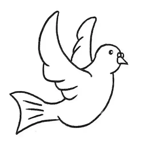 鸽子简笔画图片4鸽子简笔画大全鸽子简笔画步骤1简单的卡通鸽子简笔画