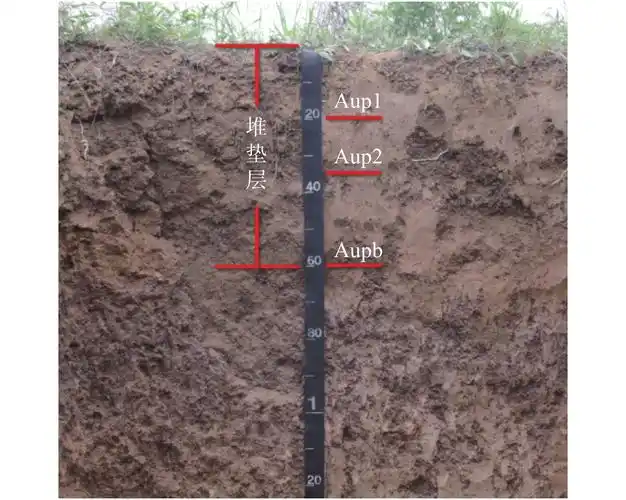 土壤通报, 2021, 52(4): 757 766 doi: 10.19336/j.cnki.trtb.