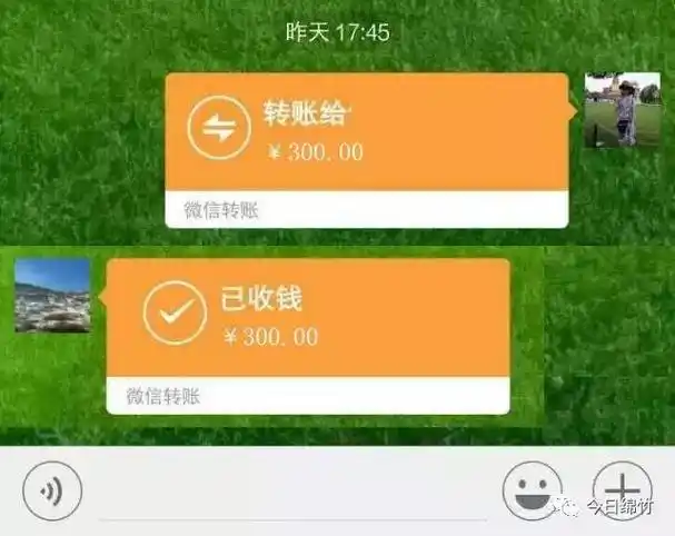 沟通了一些基本情况后便用微信转给她300元