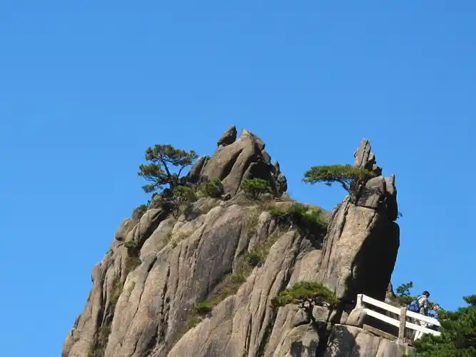 金蟾望月一一黄山奇石