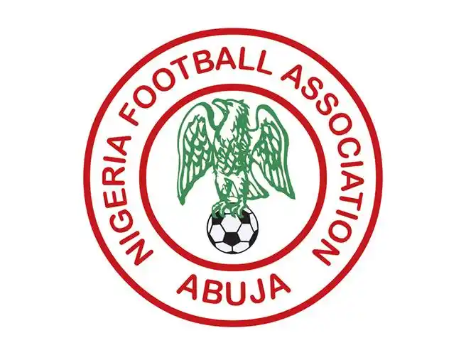 尼日尼亚国家足球队队徽标志矢量图