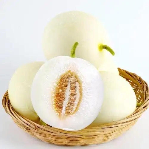 江西寻乌县白玉甜瓜 甜瓜10斤新鲜当季水果整箱小蜜瓜白皮郁金香孕妇