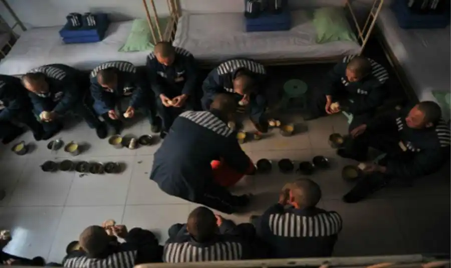 监狱里待几十年的犯人,每天在干什么?活得比很多工人都好