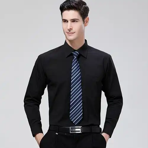 梵克公牛衬衫贵族轻奢品牌高端长袖男男士职业棉质尖领正装免烫棉正装