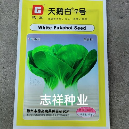 山东德高天鹅白7号矮脚黄白菜种子 大头束腰耐寒小白菜籽杂交15克