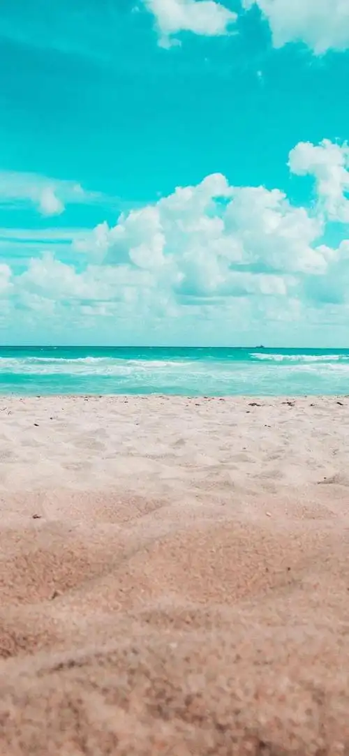 一组超养眼的壁纸