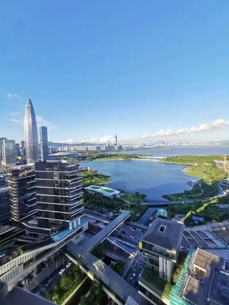 8亿 #深圳豪宅# #豪宅# #别墅豪宅