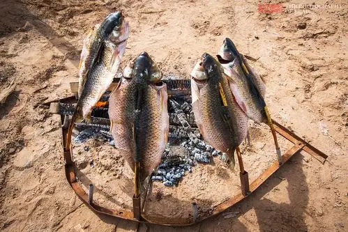 吃过新疆巴楚烤鱼,才知道什么是烤鱼味,我以前吃的都是调味料