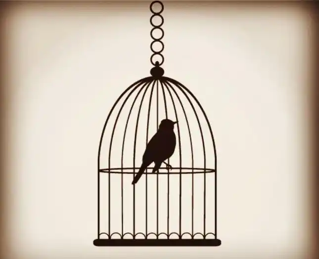 震惊海内外的民国第一越狱案色诱狱警伪造文件日特机关出笼高级营救