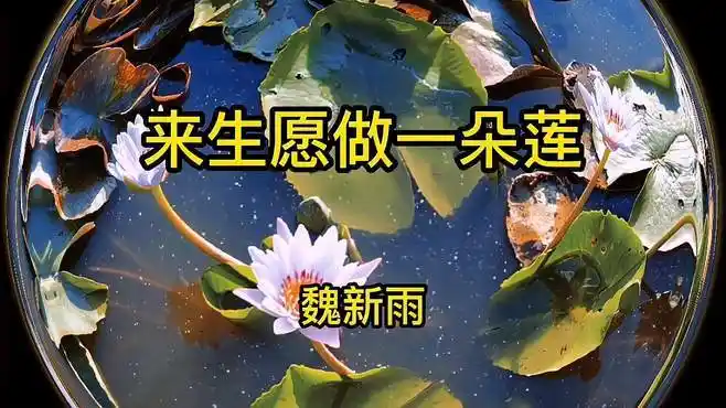魏新雨演唱的来生愿做一朵莲