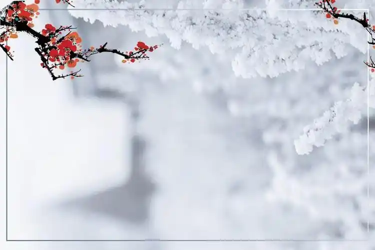 树挂梅花幻灯片背景图片下载-享学ppt