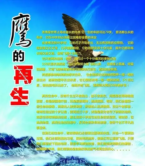 世纪老谣言鹰临死前会自己拔光羽毛敲碎喙和爪子重获新生错了