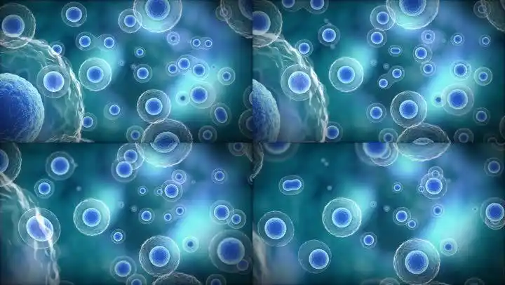 细胞繁殖分离动画