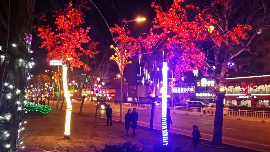 苏家屯的夜景(实拍)