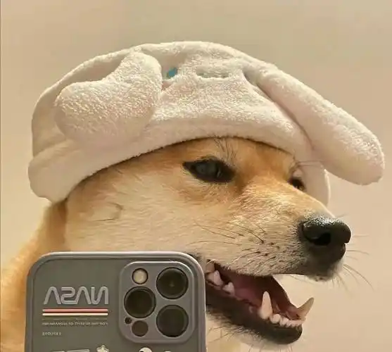 看完这篇文章80的人都会立刻换微信头像