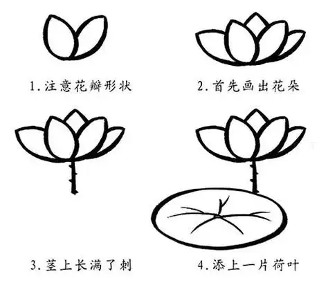 幼儿简笔画图片教程 简笔画花荷花的画法大全