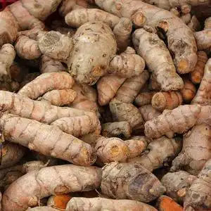 姜黄新鲜现挖野生小姜黄姜月子姜产后调节中药材红姜老姜广东500g