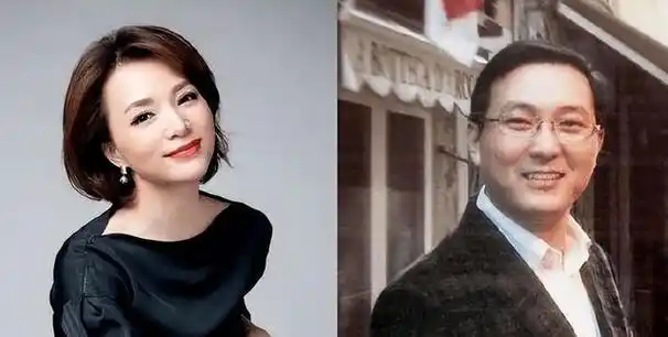 "国民女神"董卿:从红极一时到"悄无声息",她到底经历了什么