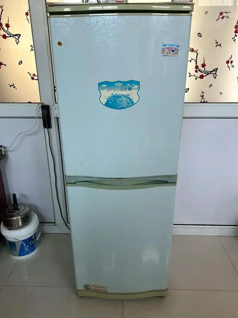 看见有个网友拍新飞牌冰箱火了