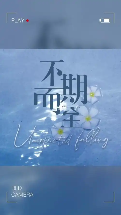 不期而至如约而至